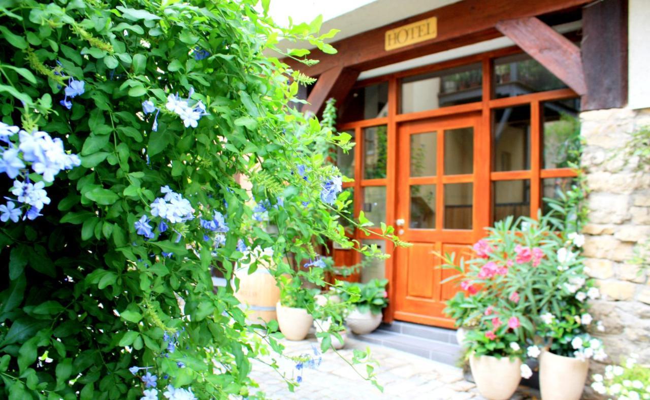 D & S Hotel & Ferienwohnungen Besigheim Kültér fotó