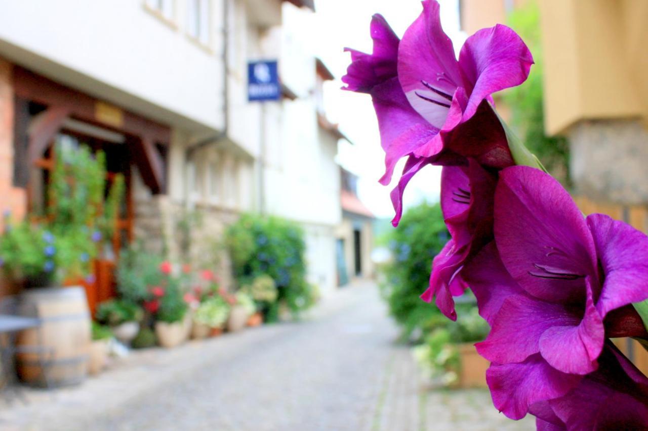 D & S Hotel & Ferienwohnungen Besigheim Kültér fotó