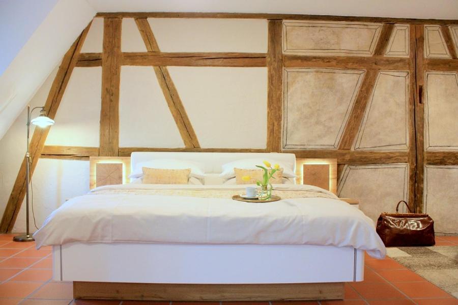 D & S Hotel & Ferienwohnungen Besigheim Kültér fotó