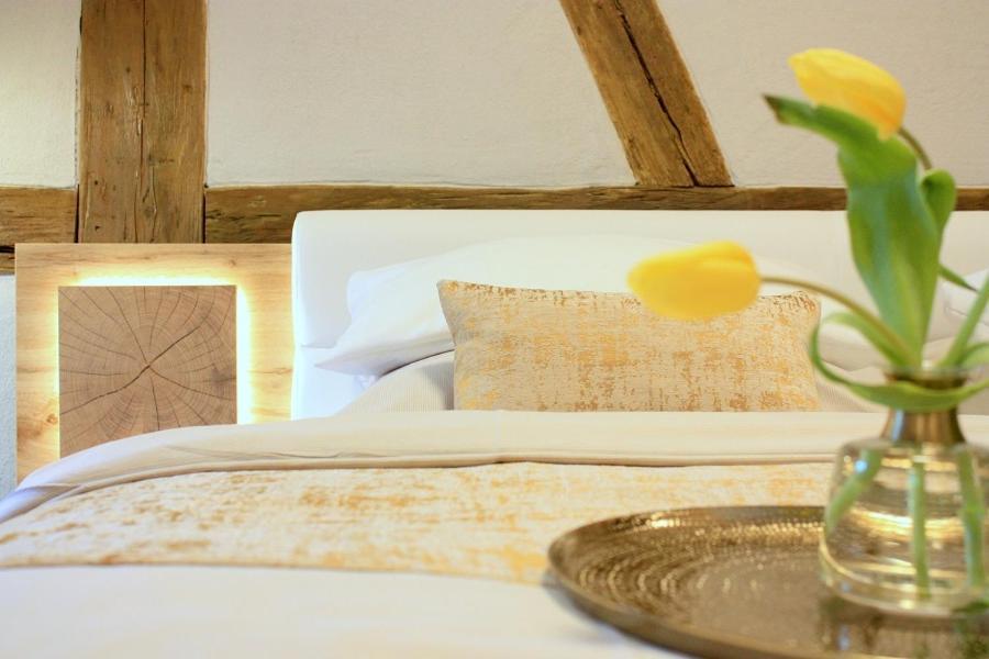 D & S Hotel & Ferienwohnungen Besigheim Kültér fotó